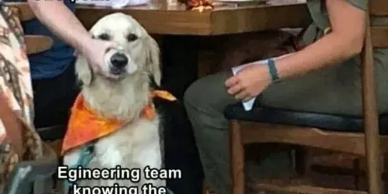 Engineers - Let's talk about accountability at work