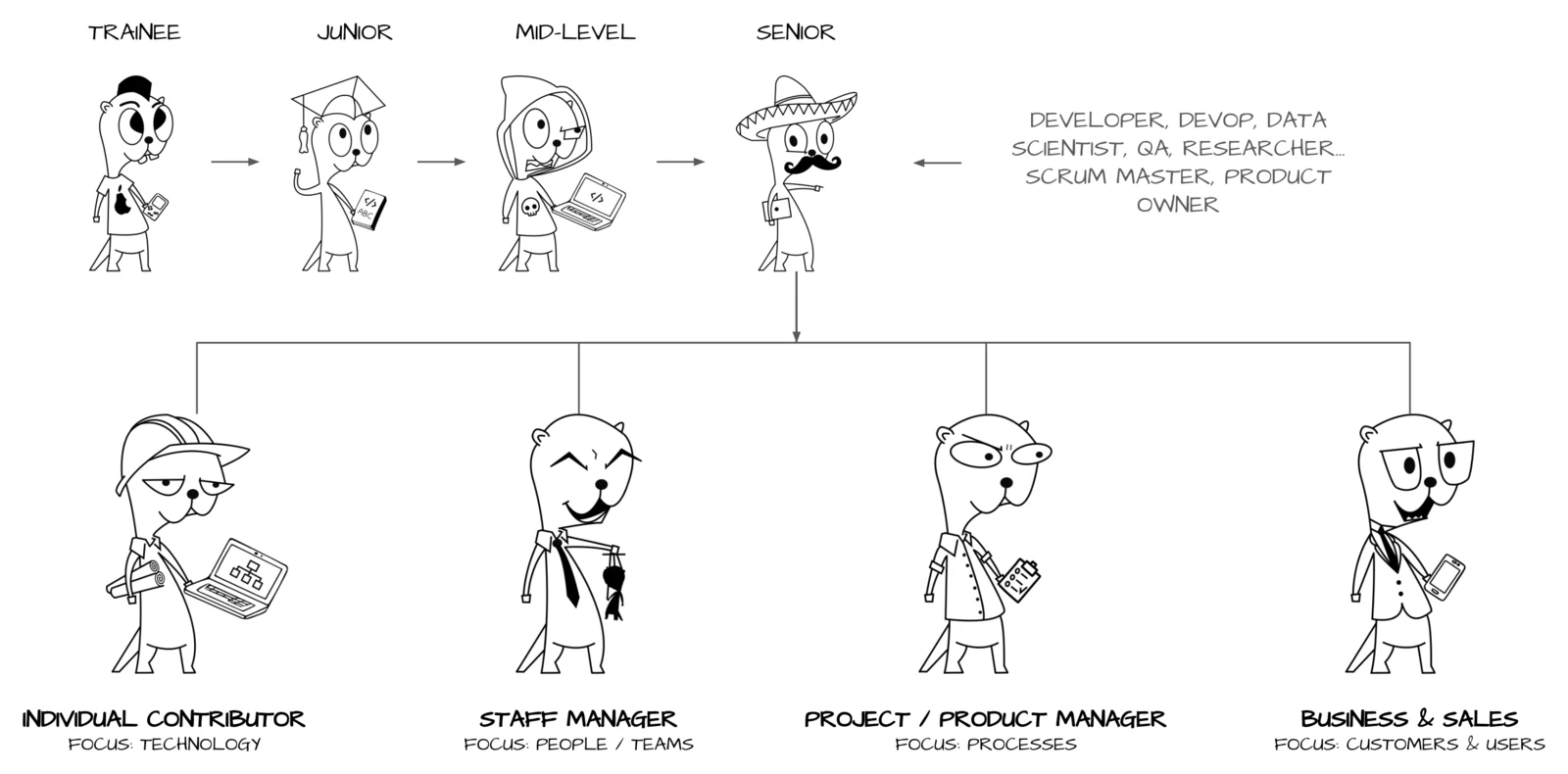 Overview of the software engineer career ladder: trainee, junior, mid-level, and senior, branching into individual contributor, staff manager, project or product manager, and business and sales