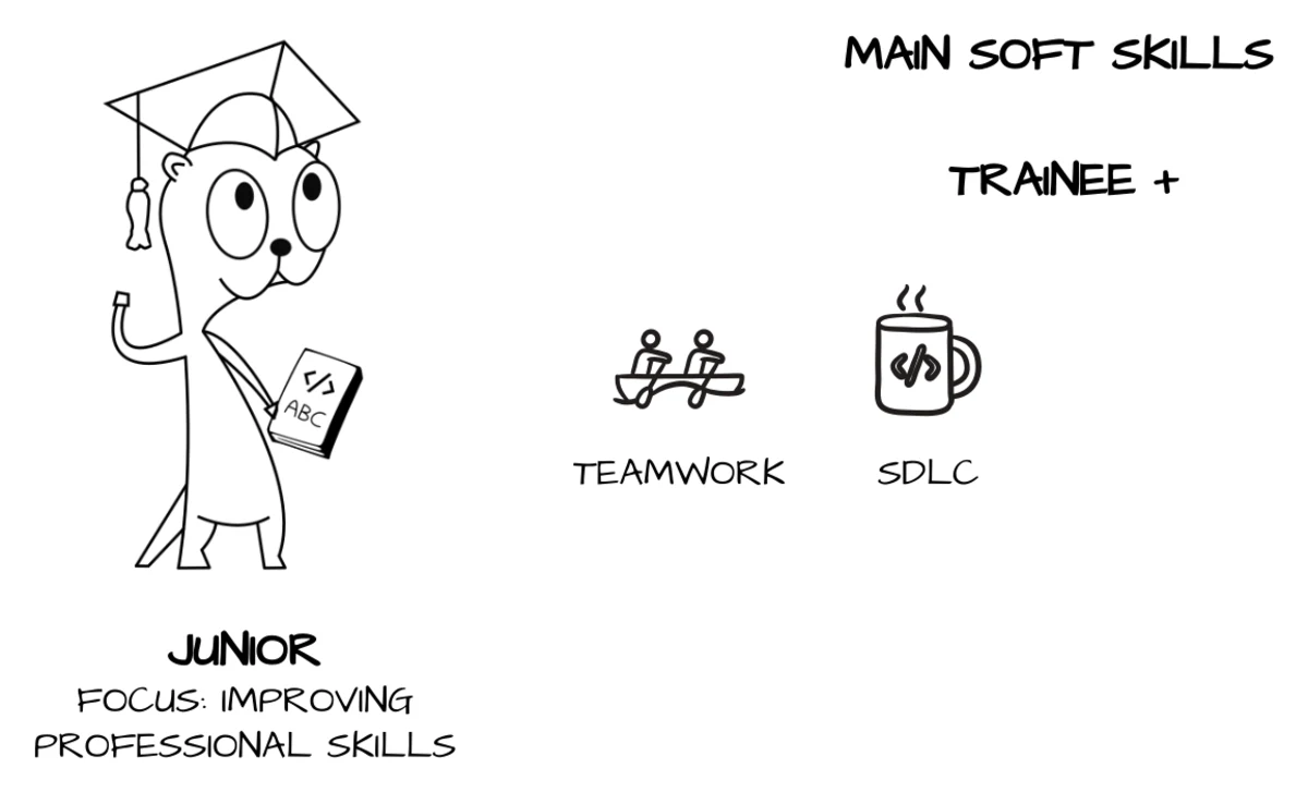 Junior developer career ladder level, adding teamwork and software development life cycle (SDLC) knowledge
