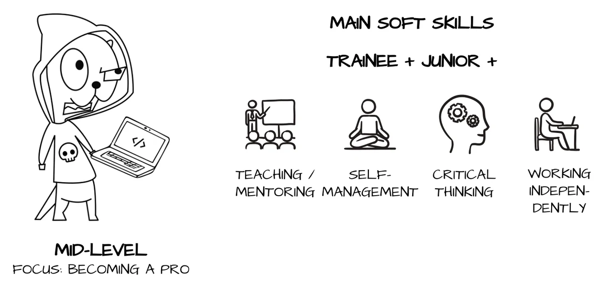 Mid-level software engineer career ladder level, adding teaching, self-management, critical thinking, working independently