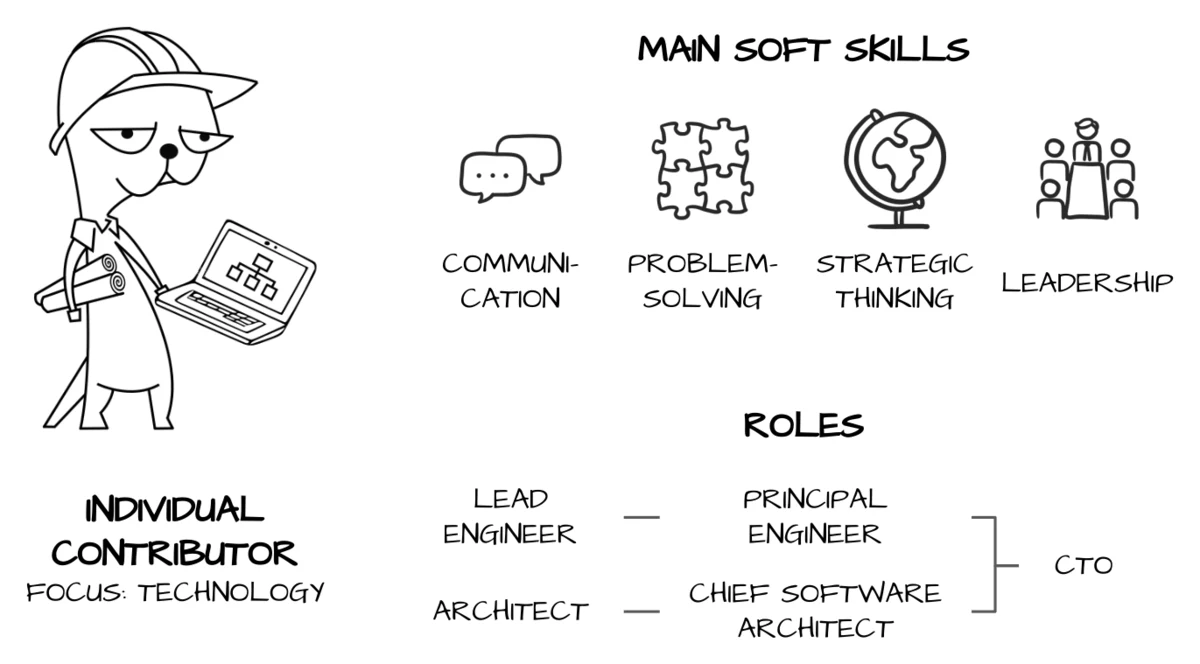 Individual contributor career path for software engineers: lead engineer, principal engineer, architect, chief software architect, and CTO roles